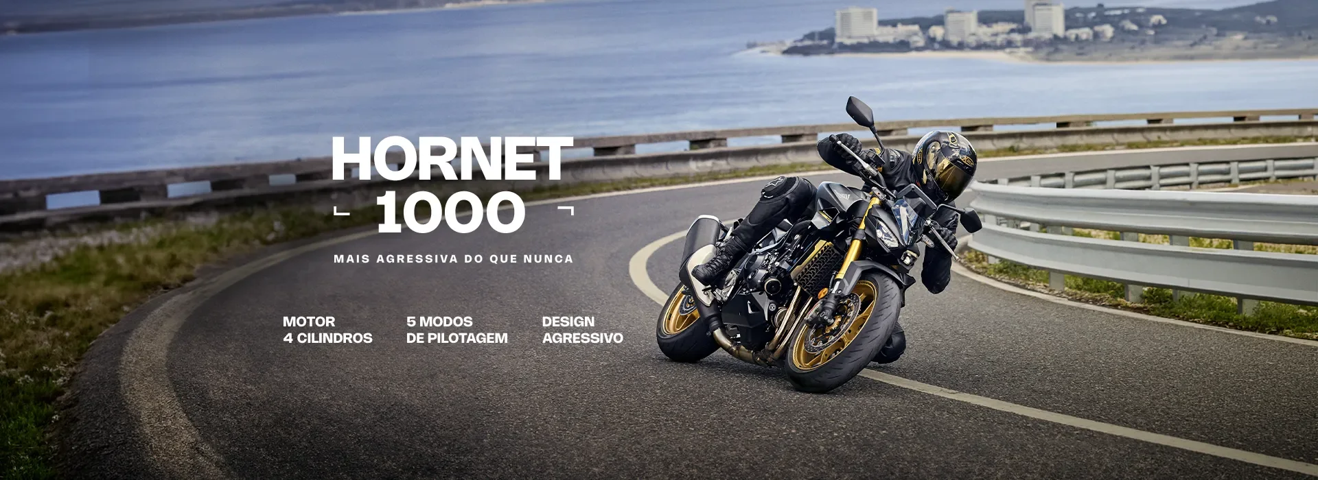 CB1000 Hornet — Honda-CBR1000-Vermelha-e-Azul-Lateral