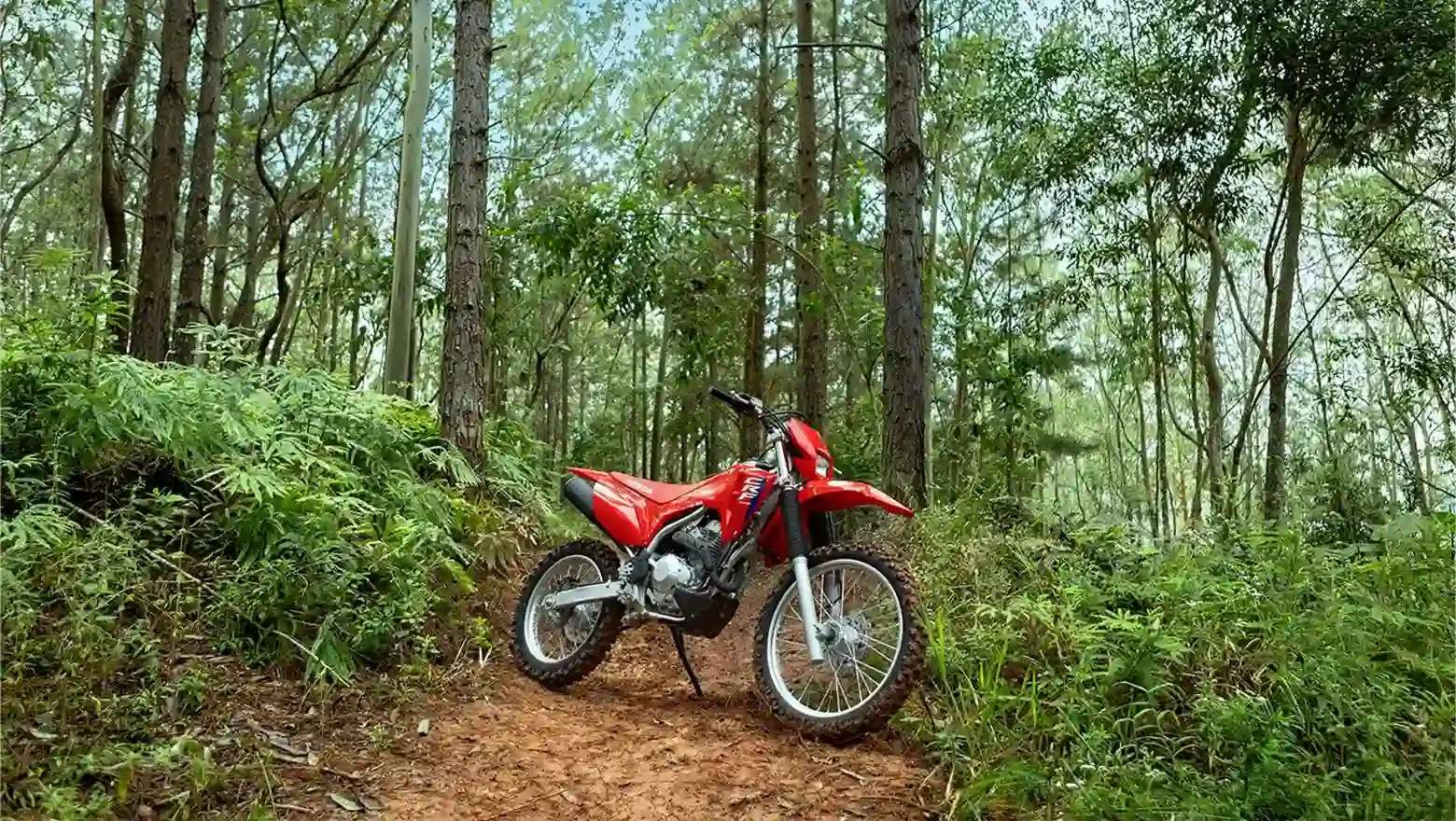 CRF300F — crf_300_ambiente_2