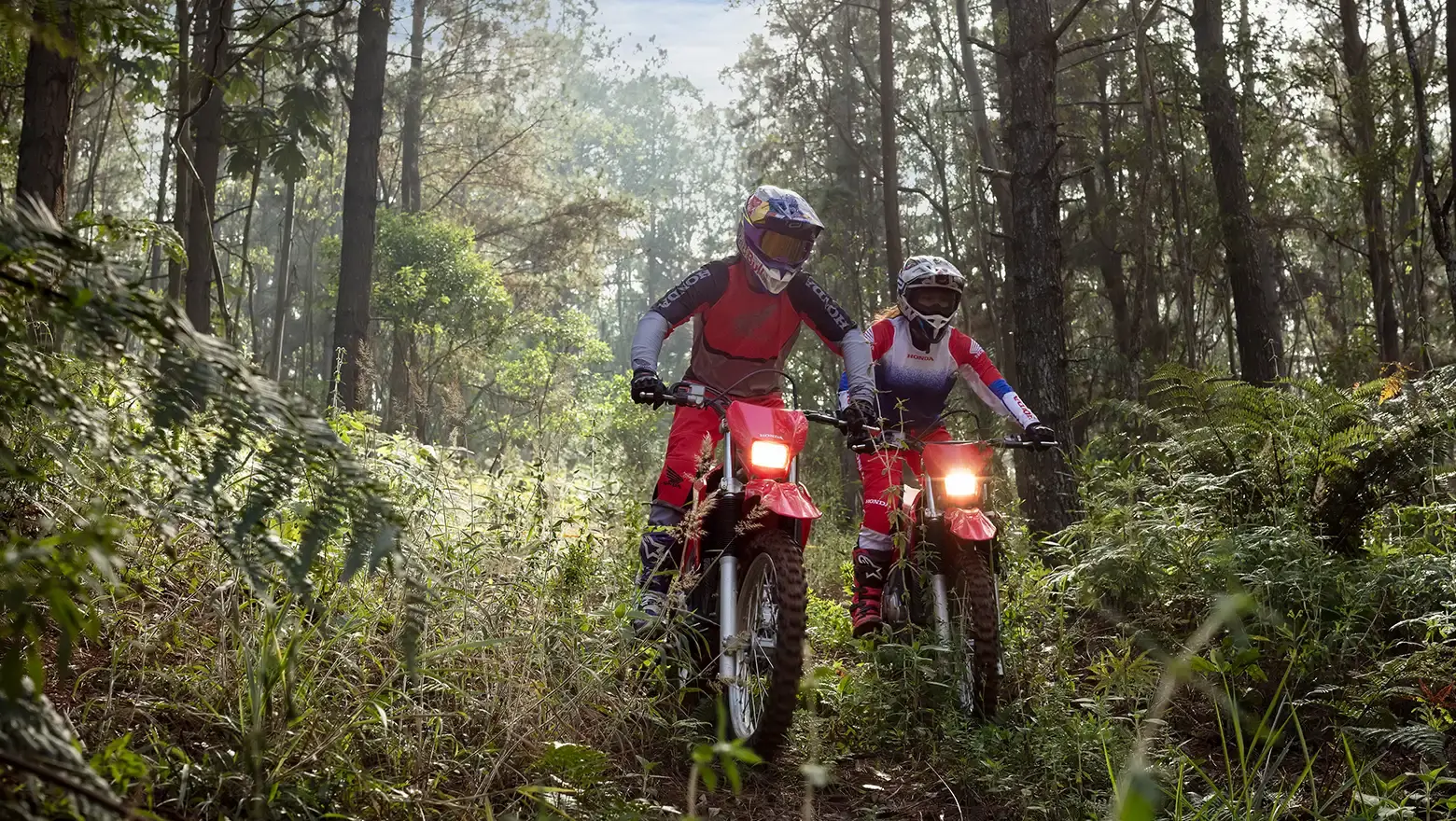 CRF300F — crf_300_ambiente_2